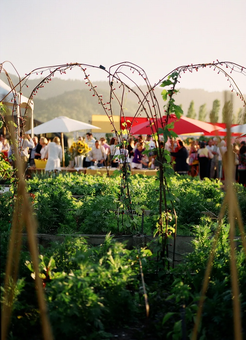 Garden gathering at Mustards Grill