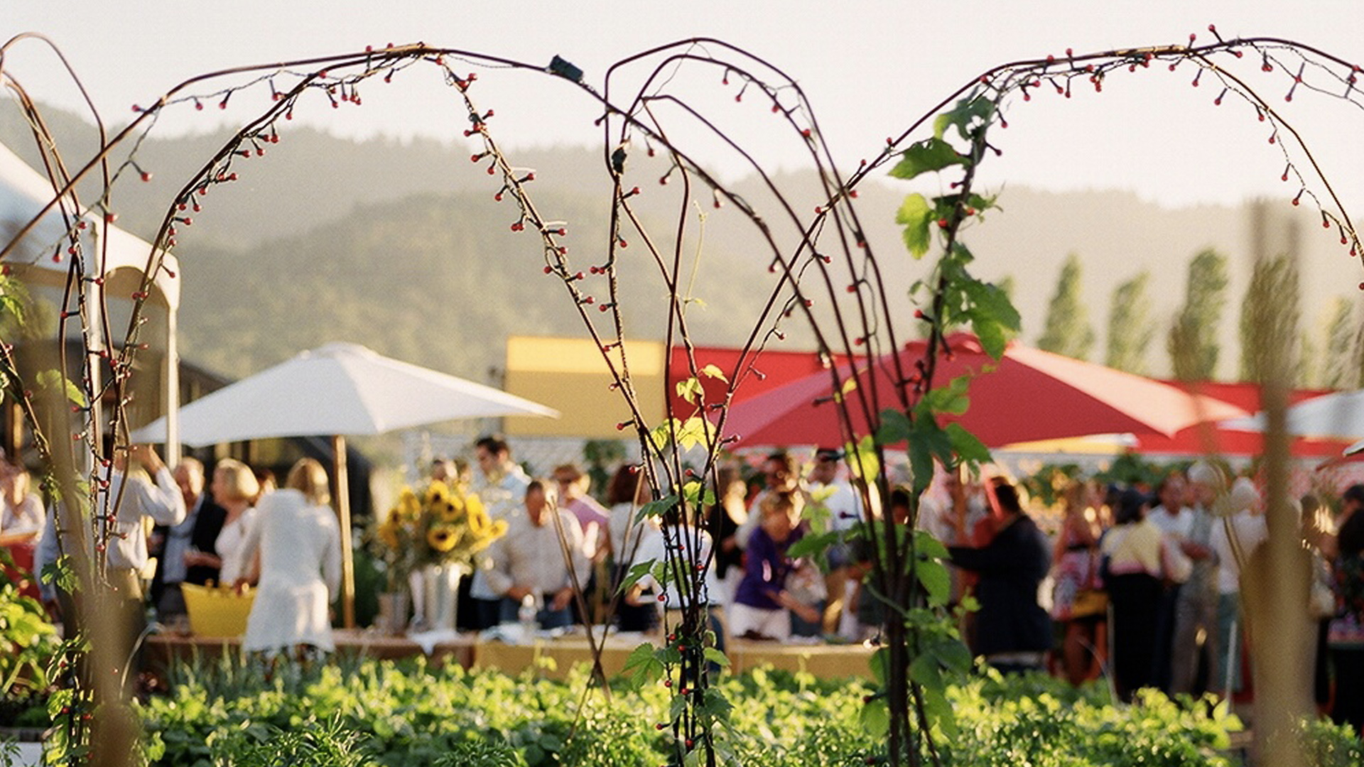 Private garden gathering at Mustards Grill